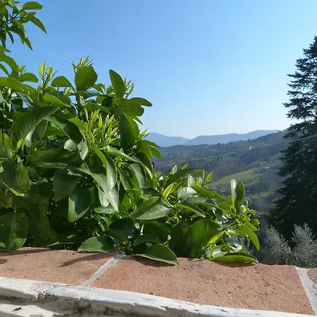 La Casa Di Toto Λούκα